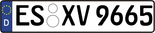 ES-XV9665