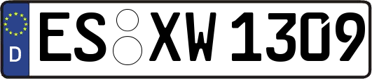 ES-XW1309