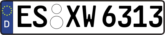 ES-XW6313