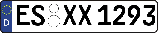 ES-XX1293