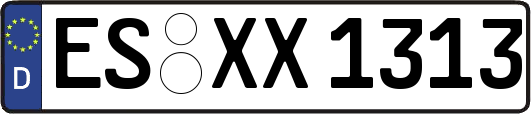 ES-XX1313