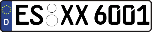 ES-XX6001