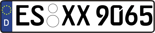 ES-XX9065