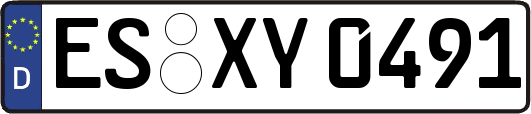 ES-XY0491