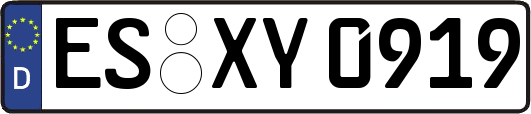 ES-XY0919