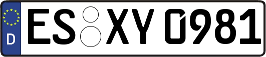 ES-XY0981