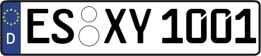 ES-XY1001