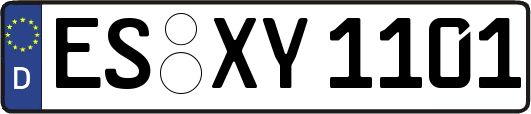 ES-XY1101