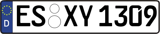 ES-XY1309