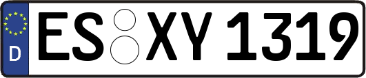 ES-XY1319