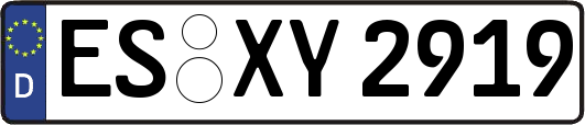 ES-XY2919