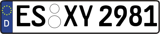 ES-XY2981