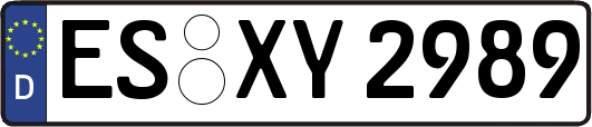 ES-XY2989