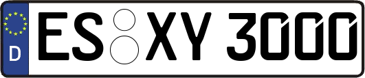 ES-XY3000