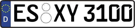 ES-XY3100