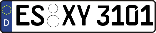 ES-XY3101