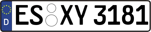 ES-XY3181