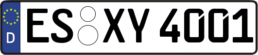 ES-XY4001