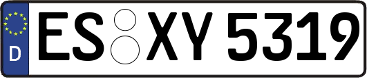 ES-XY5319