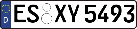 ES-XY5493