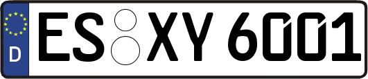 ES-XY6001