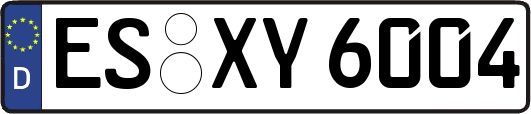 ES-XY6004