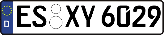 ES-XY6029