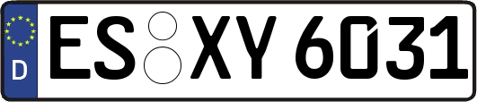 ES-XY6031