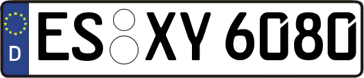 ES-XY6080