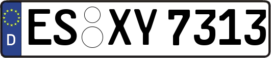 ES-XY7313