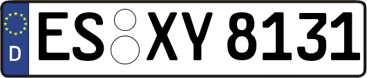 ES-XY8131