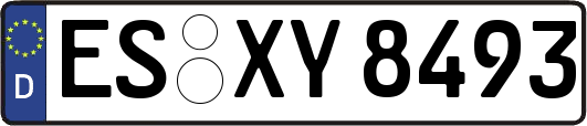 ES-XY8493
