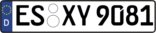 ES-XY9081