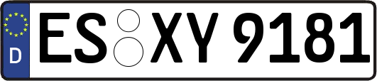 ES-XY9181
