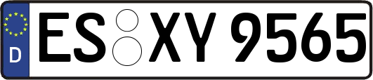 ES-XY9565