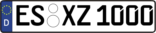 ES-XZ1000
