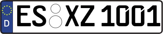 ES-XZ1001