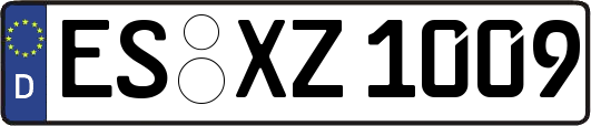ES-XZ1009