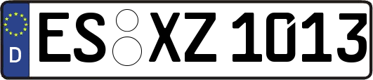 ES-XZ1013