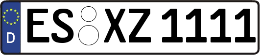 ES-XZ1111