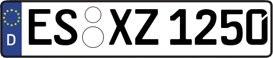 ES-XZ1250