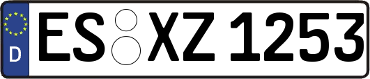 ES-XZ1253