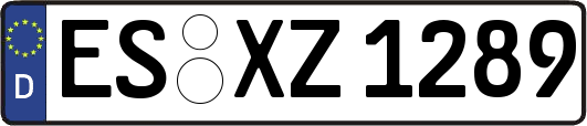 ES-XZ1289