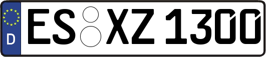 ES-XZ1300
