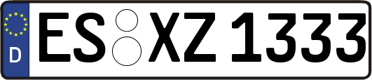 ES-XZ1333