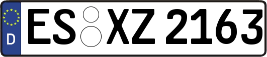 ES-XZ2163