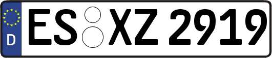 ES-XZ2919