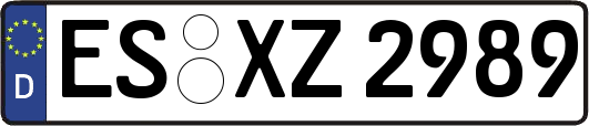 ES-XZ2989