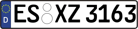ES-XZ3163
