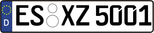 ES-XZ5001